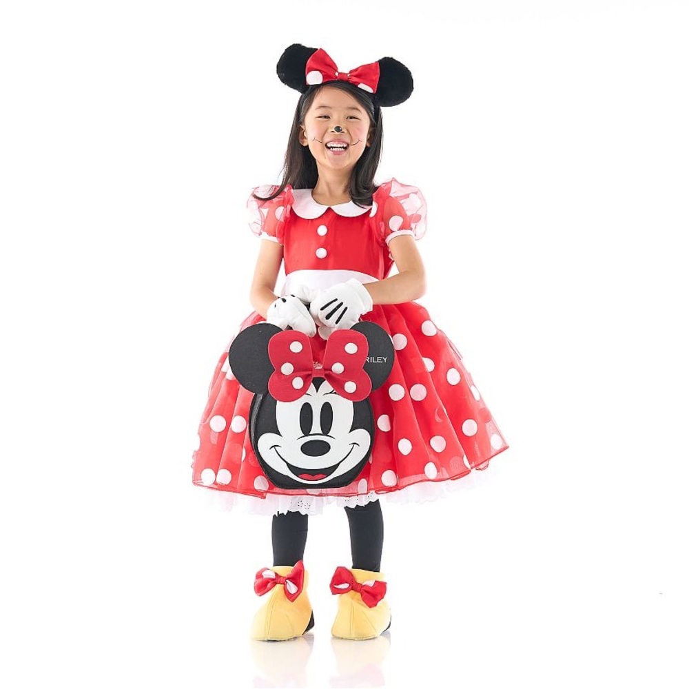 Pottery Barn Kids Minnie Mouse Costume Size 4-6Y - No Ears Included